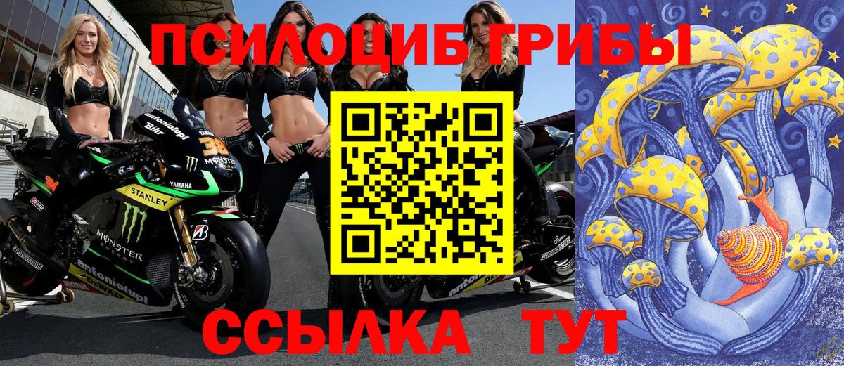 Верхний Уфалей  Псилоцибиновые грибы прущие грибы  как найти закладки  Вход с VPN 