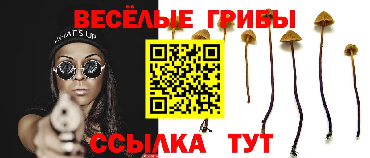 Галлюциногенные грибы Psilocybine cubensis Верхний Уфалей